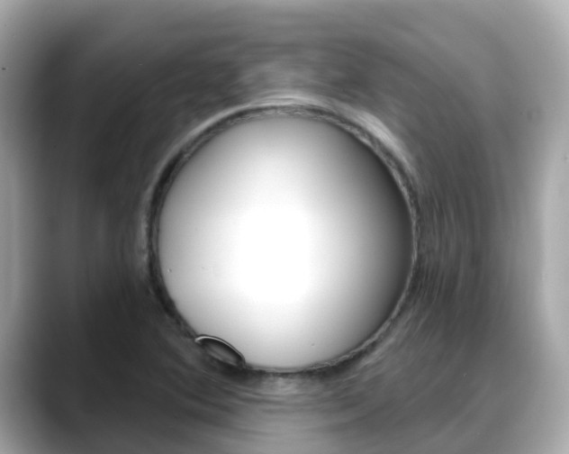 X0000088731364200705311107