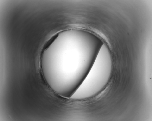 X0000088731365200705311107