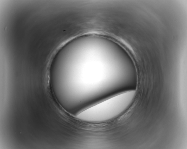 X0000088731367200705311107