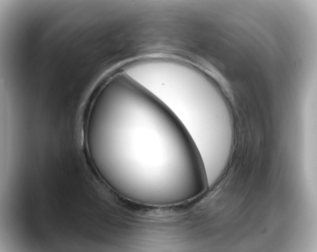 X0000088731368200705311107