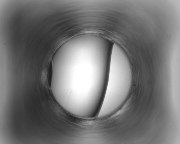 X0000088731369200705311107