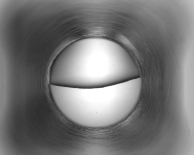 X0000088731370200705311107