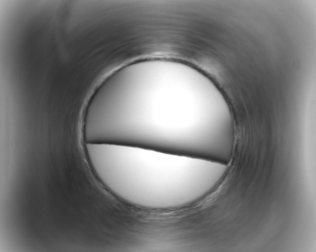 X0000088731374200705311107