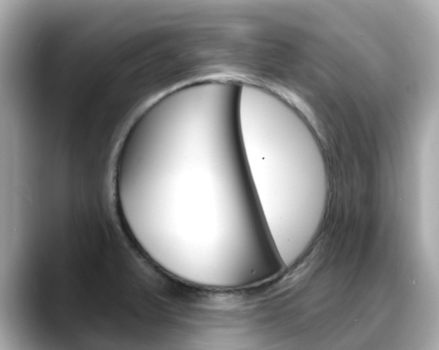 X0000088731375200705311107