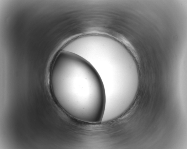 X0000088731376200705311107