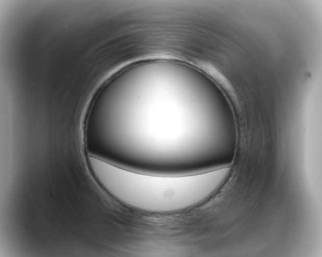 X0000088731380200705311107