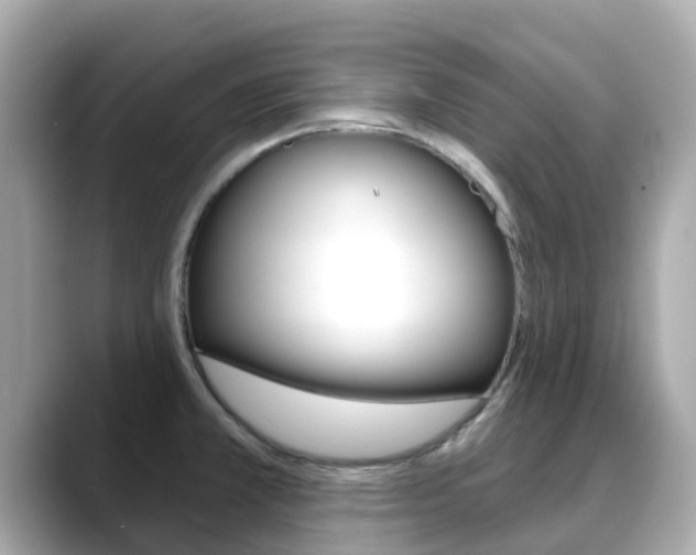 X0000088731381200705311107