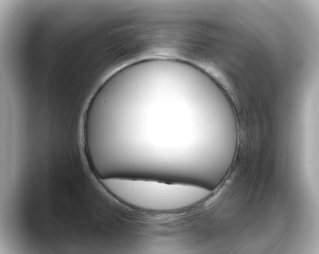 X0000088731382200705311107