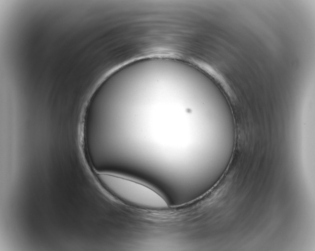 X0000088731383200705311107