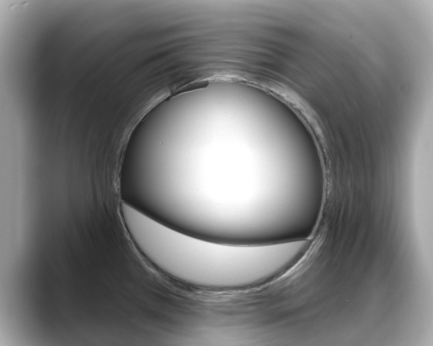 X0000088731385200705311107