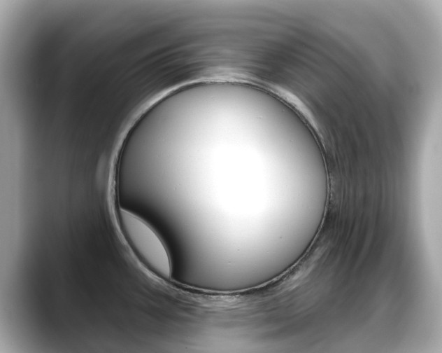 X0000088731387200705311107