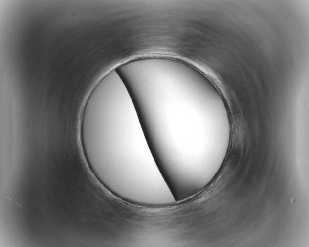 X0000088731390200705311107