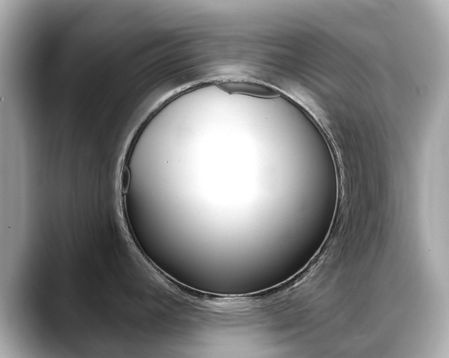 X0000088731392200705311107