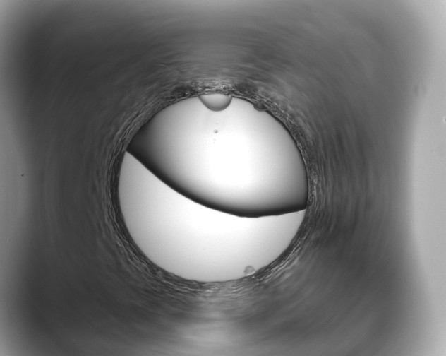 X0000088731393200705311107