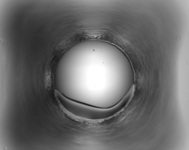 X0000088731394200705311107