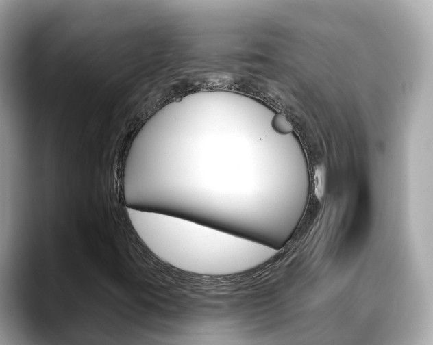 X0000088731395200705311107