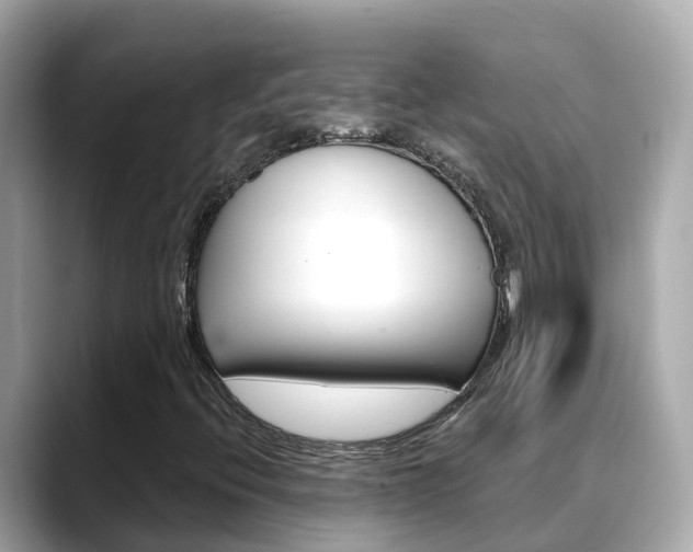 X0000088731396200705311107