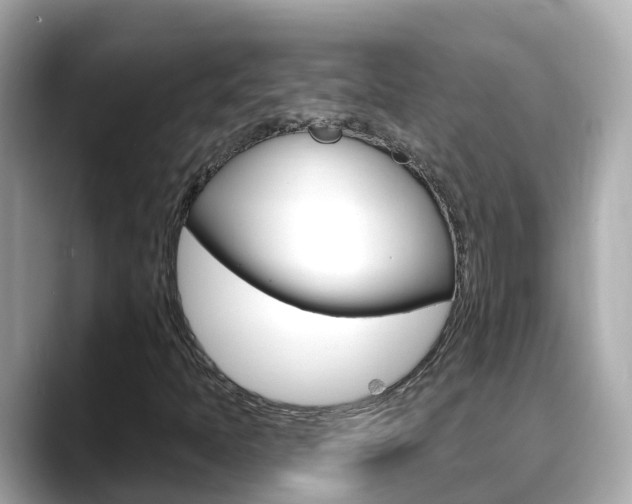 X0000088731397200705311107
