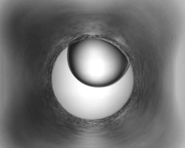X0000088731398200705311107