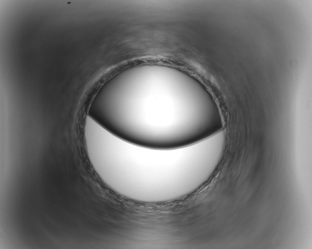 X0000088731400200705311107