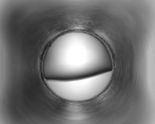 X0000088731404200705311107