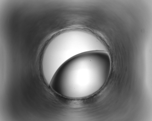 X0000088731406200705311107