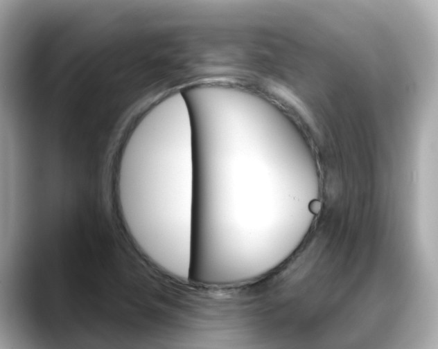 X0000088731411200705311107
