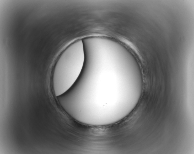 X0000088731415200705311107