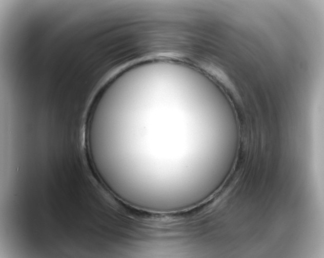 X0000088731420200705311107