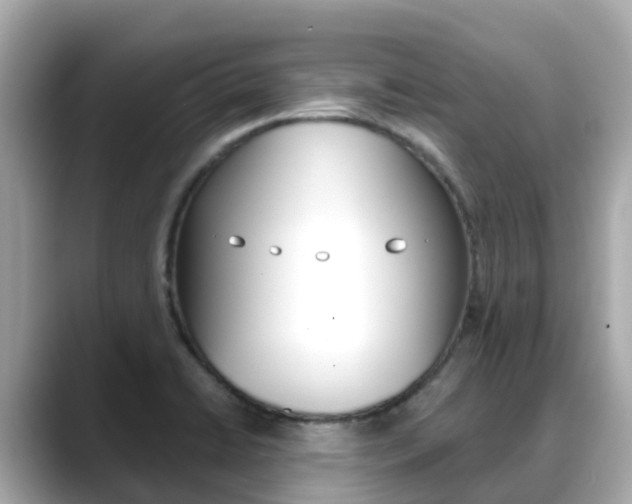 X0000088731422200705311107