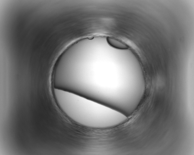 X0000088731423200705311107