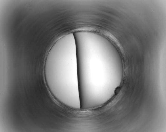 X0000088731425200705311107