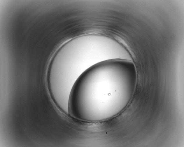 X0000088731426200705311107