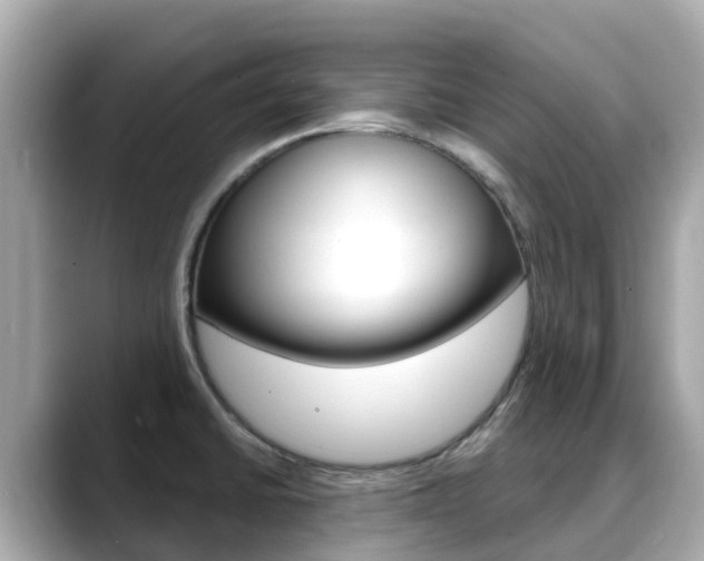 X0000088731430200705311107