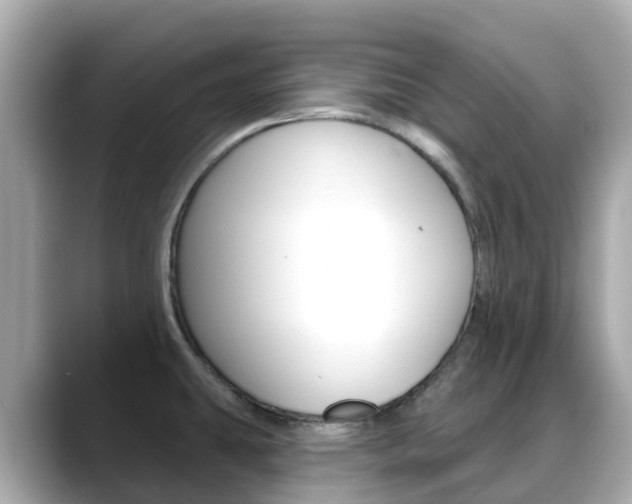 X0000088731431200705311107