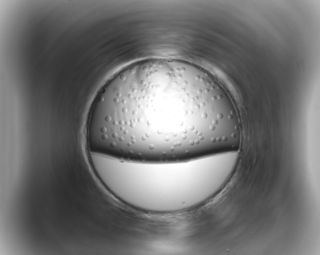 X0000088731432200705311107