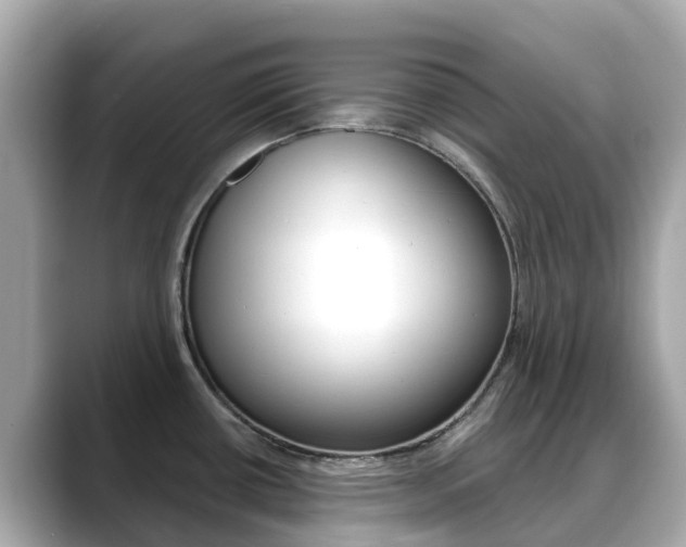 X0000088731434200705311107