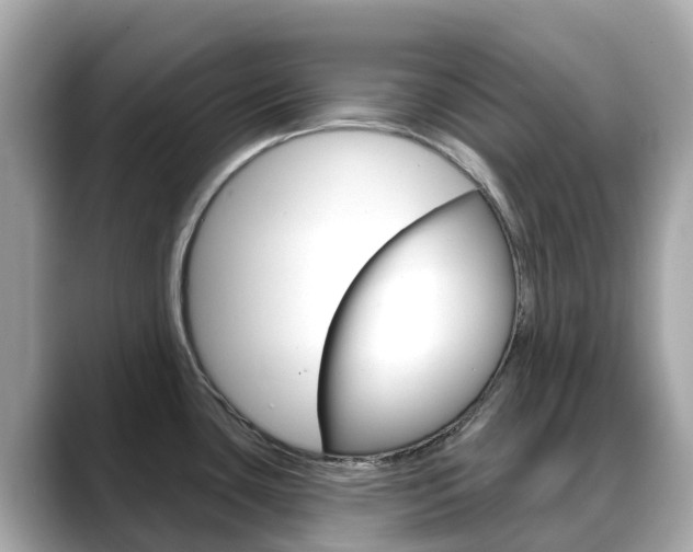 X0000088731435200705311107