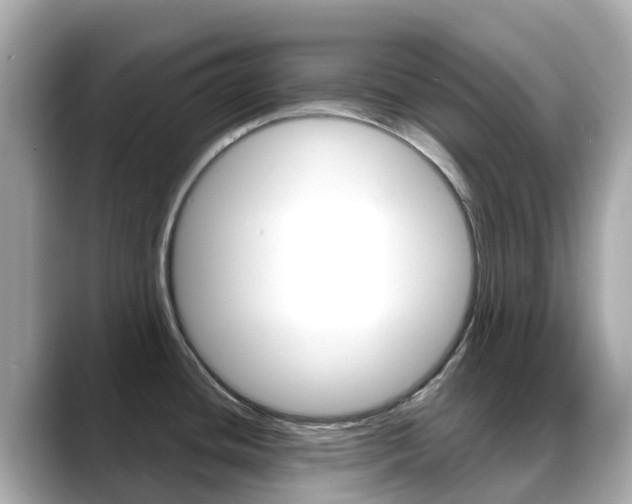 X0000088731436200705311107