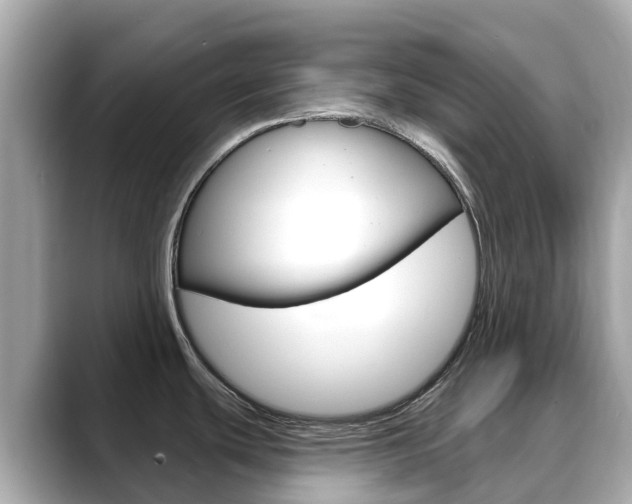 X0000088731439200705311107