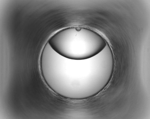X0000088731440200705311107