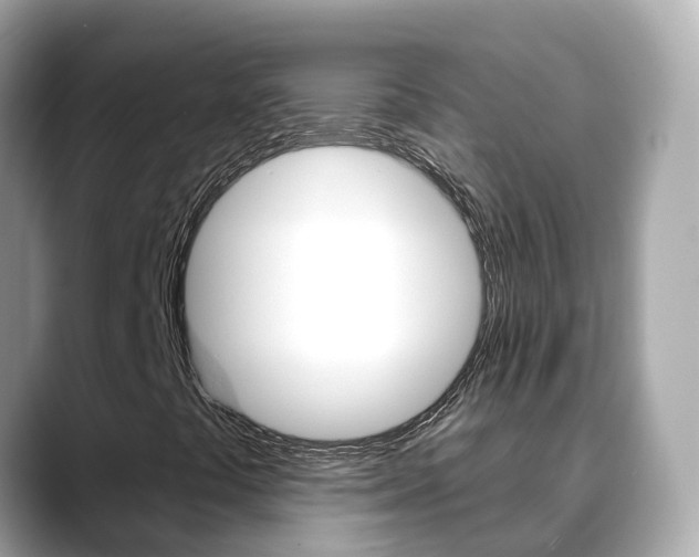X0000088731441200705311107