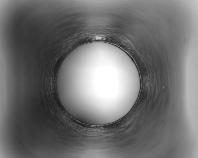 X0000088731442200705311107