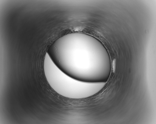 X0000088731443200705311107