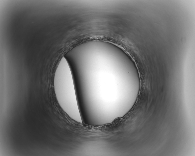 X0000088731445200705311107