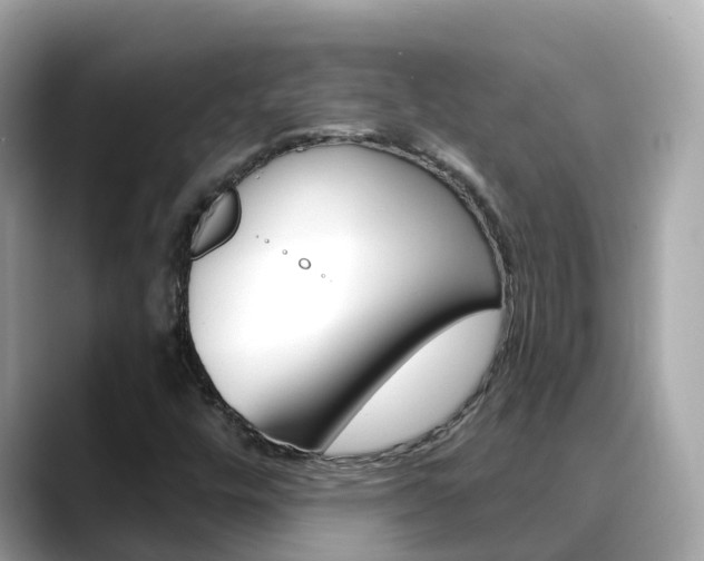 X0000088731448200705311107
