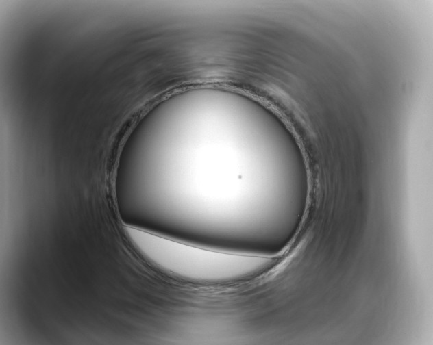 X0000088731449200705311106