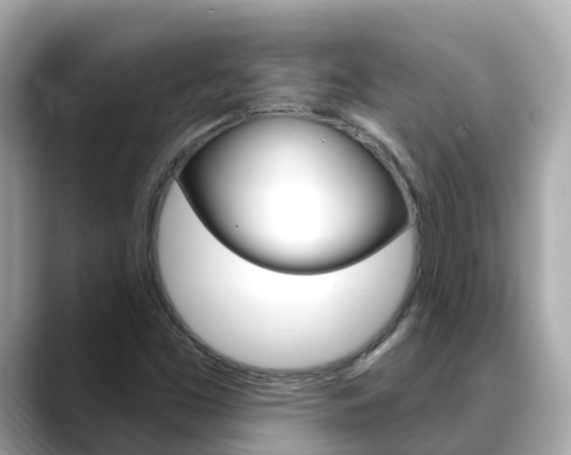 X0000088731453200705311106