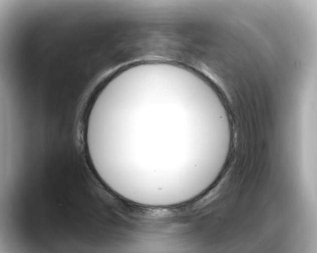 X0000088731454200705311106