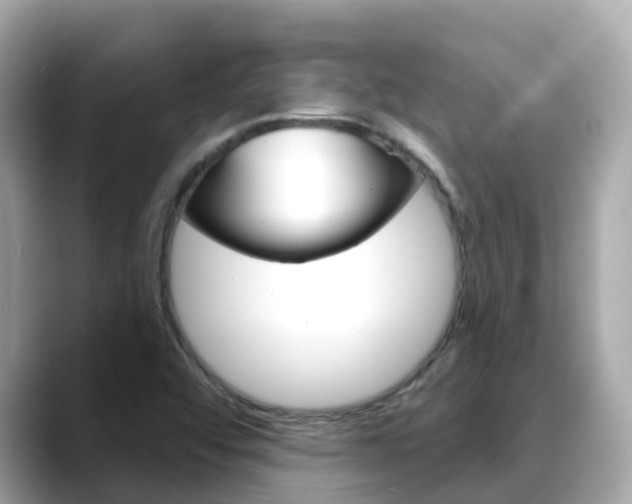 X0000088731456200705311106